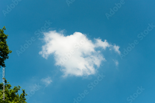 Canvas Print a white fluffy light cloud in the blue summer sky