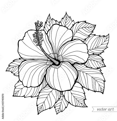 Hibiscus, flower and leaves. Vector. Coloring book page for adult. Hand drawn artwork. Black and white