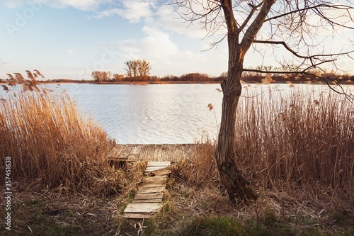 Wooden fishing platform by a tree on a quiet lake