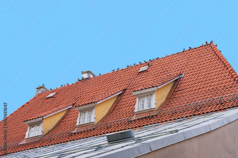 A lot of birds pigeons are sitting on the roof with orange tiles.