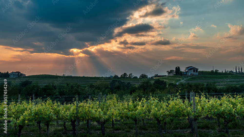 Spring stormy sunset in the vineyards of Collio Friulano, Friuli-Venezia Giulia, Italy