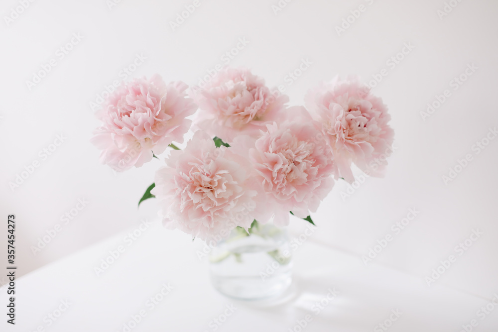 Fototapeta premium Beautiful pink peonies for catalog or online store. Floral shop concept. Beautiful fresh cut bouquet. Flowers delivery