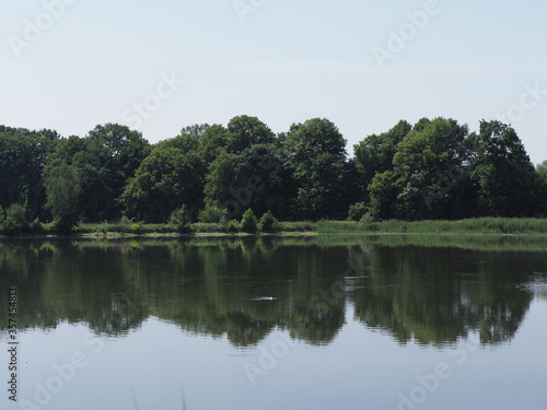Trees reflected in waters of artificial breeding pond in european Goczalkowice town at Silesian district in Poland, clear blue sky in 2020 warm sunny spring day on June.