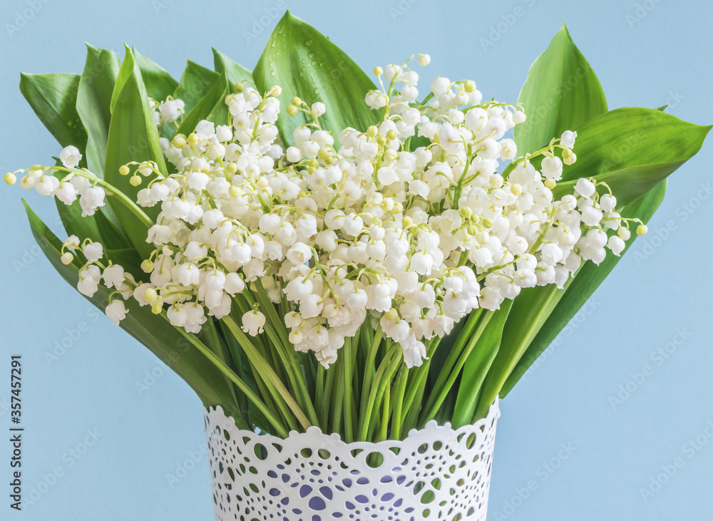 A large bouquet of lily of the valley flowers (Convallaria majalis), small white bells in a vase on a blue background.