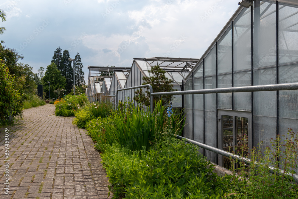 greenhouse in the spring