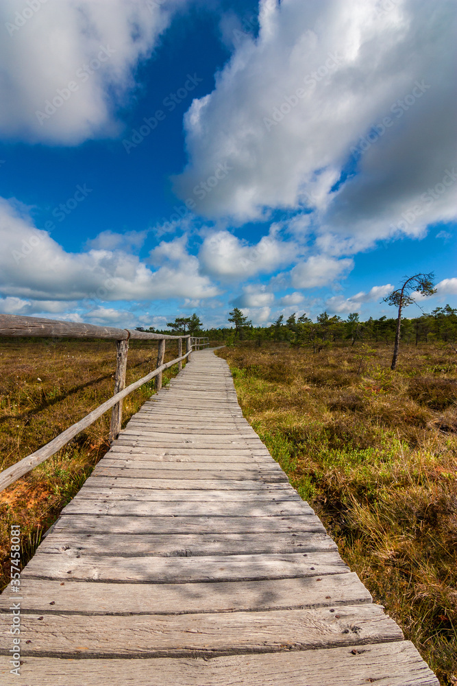 Fototapeta premium Der Weg