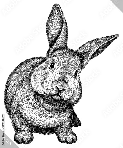 black and white engrave isolated rabbit vector illustration