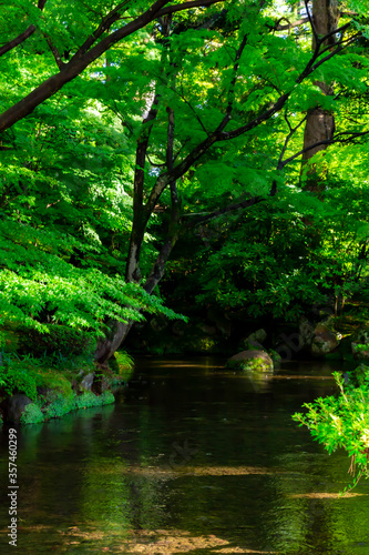 新緑の川 © 誠 山田