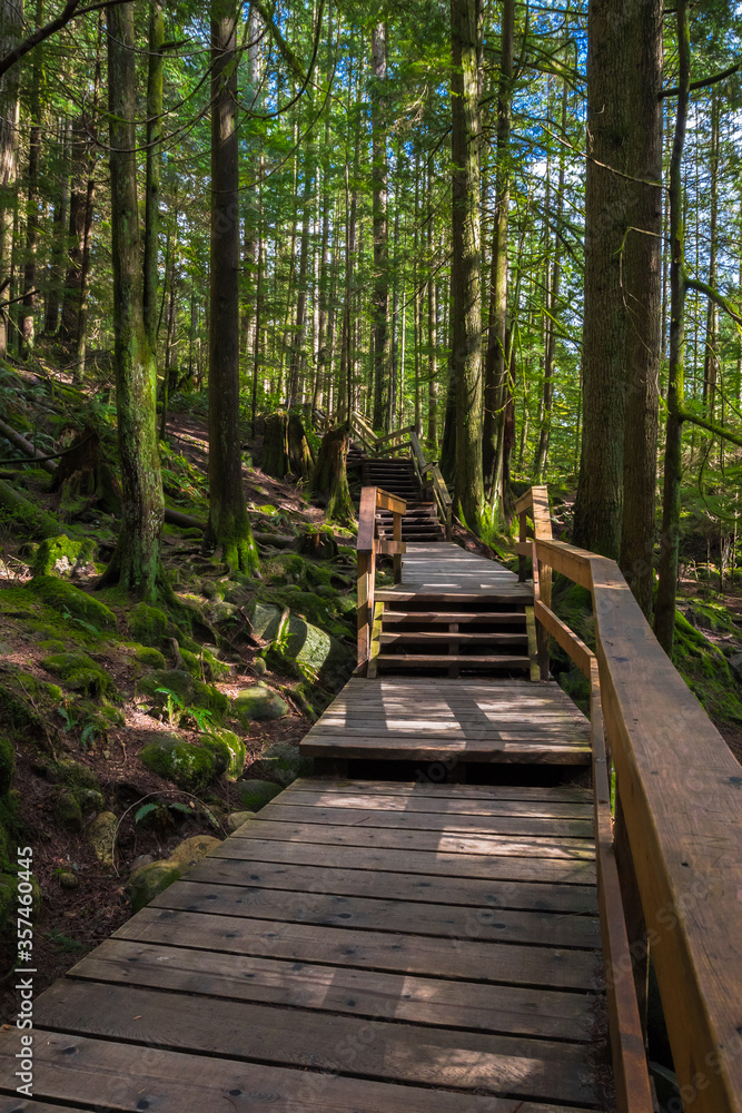 A wooden walkway and staircase on a footpath goes through forest Located in Lynn Canyon Park, North Vancouver British Columbia Canada A wooden walkway and staircase on a footpath goes through forest Located in Lynn Canyon Park, North Vancouver British Columbia Canada