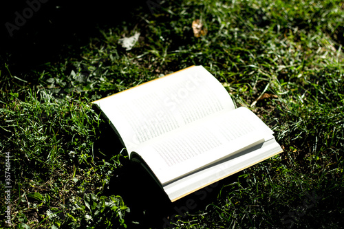 das Buch steht eindeutig auf dem Rasen auf dem Boden photo