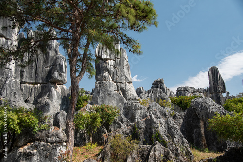  February 2019, Kuniming, Yunnan Stone Forest Geological Park , Shilin County. The Kunming Stone Forest, Shilin in Chinese, is a spectacular set of limestone groups 