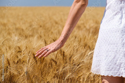 Young woman s hand in a wheat field in summer