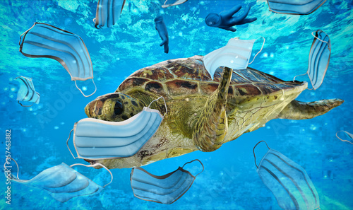 A sea turtle going to eat a surgical mask. ocean pollution and the consequences of overuse of surgical masks during coronavirus pandemic.