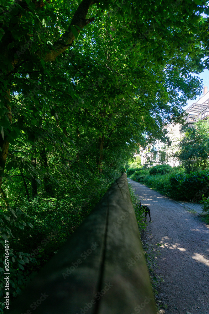 Obraz premium Sommer im Freien