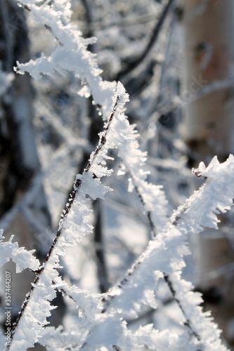 Winter. Snow. Russian winter. Cold. Frost. Blue sky. Gubakha. © Юлия Зубкова
