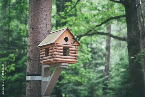 Bird feeder on a tree in a park