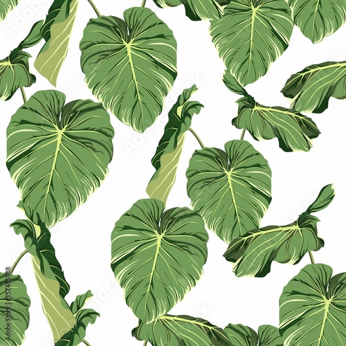 Tropical seamless pattern with exotic big leaves. White background.