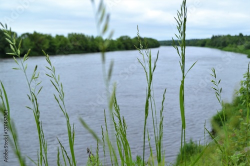 grass and water