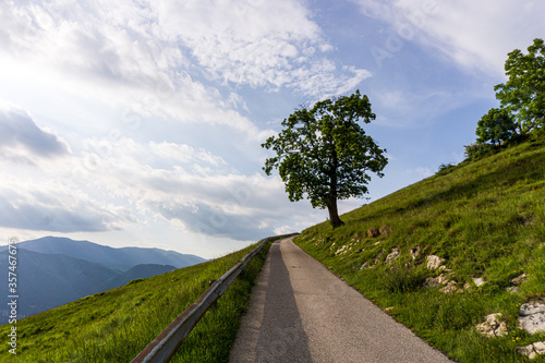 The spring panorama from the peaks of the Italian Prealps at sunset near the town of Eupilio, Lombardy, Italy - May 2020. photo