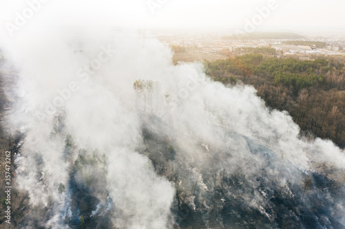 Aerial View. Dry Grass Burns During Drought And Hot Weather. Bush Fire And Smoke In Meadow Field. Wild Open Fire Destroys Grass. Nature In Danger. Ecological Problem Air Pollution. Natural Disaster © Grigory Bruev
