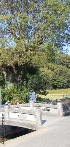 Wallpaper Mural 石橋のある風景 Torontodigital.ca