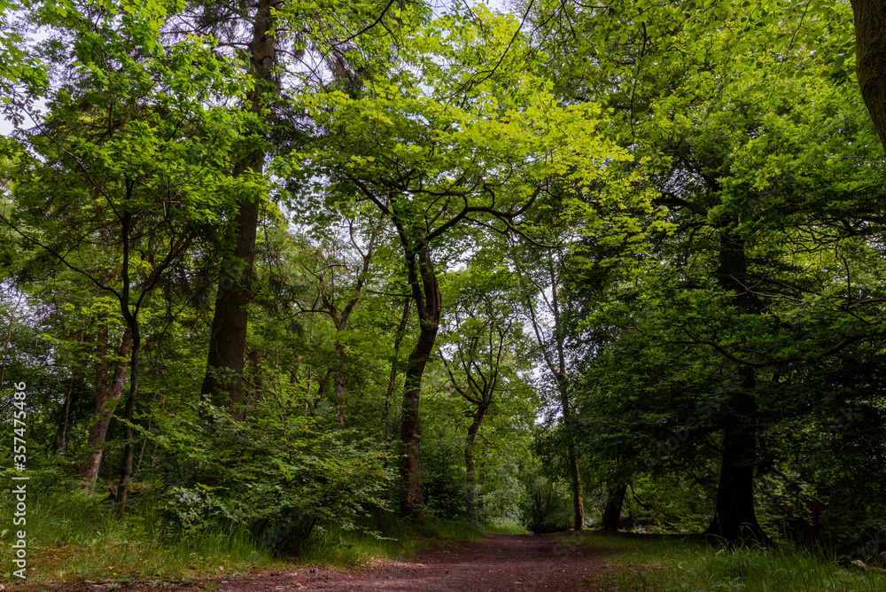 Fototapeta premium Polkemmet country park