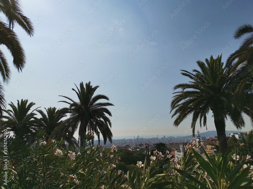 Fototapeta premium Palmen über Barcelona