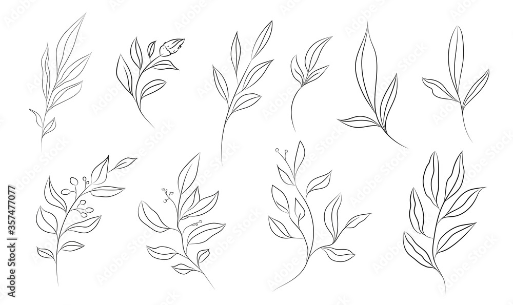 Fototapeta Floral line art clipart set. black and white illustration on white background. Ready for print. Can be used for logo, pattern, sticker, poster, print, fabric, textile