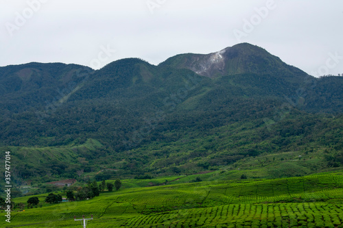 Beautiful and beautiful countryside views with mountain and tea garden