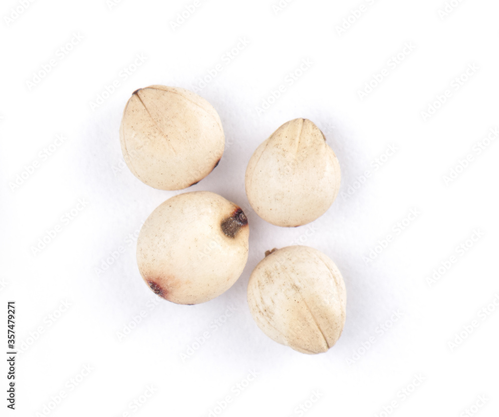 Fototapeta premium four grains of sorghum, shot large on a white background