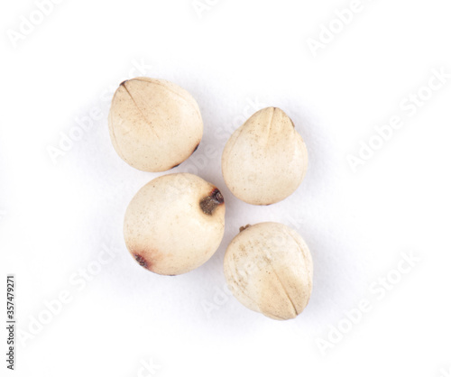 four grains of sorghum  shot large on a white background
