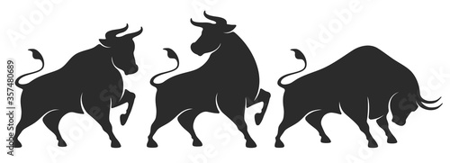 Bull set. Stylized silhouettes of standing in different poses and butting up bulls. Isolated on white background. Bull logo designs set. Vector illustration. photo