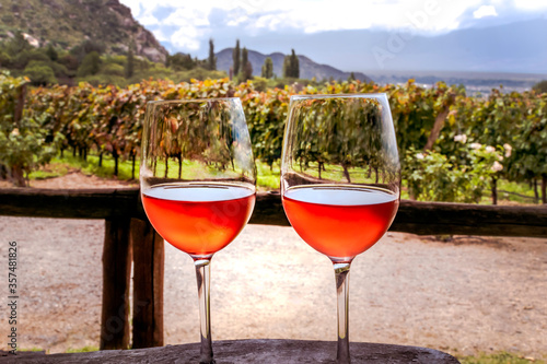 Two glasses of rose wine in a vineyard in Cafayate, Salta, Argentina photo