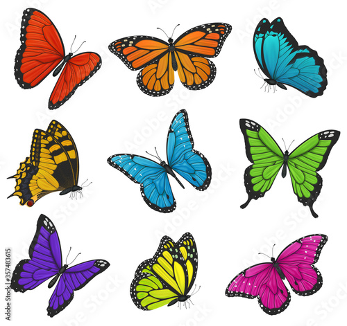 Big collection of colorful butterflies. Vector illustration © yayasya