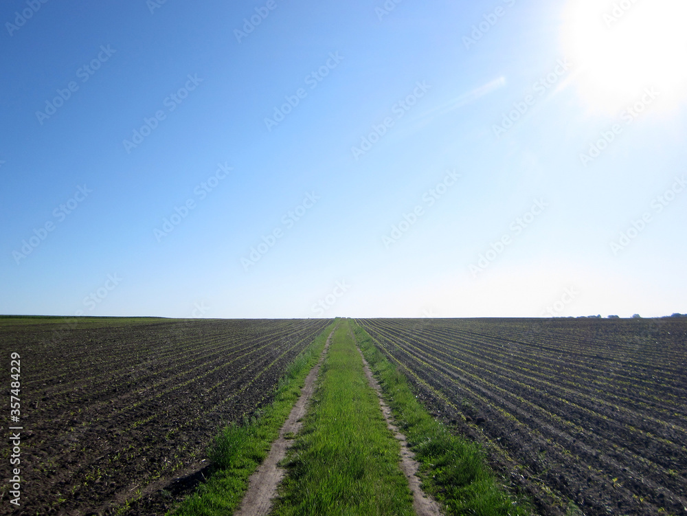 Plowed field for potato in brown soil on open countryside nature