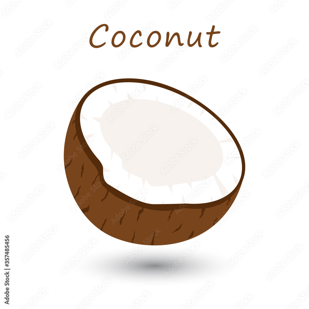Half coconut on white background. Vector fresh tropical fruit. Half coconut on white background. Vector fresh tropical fruit.