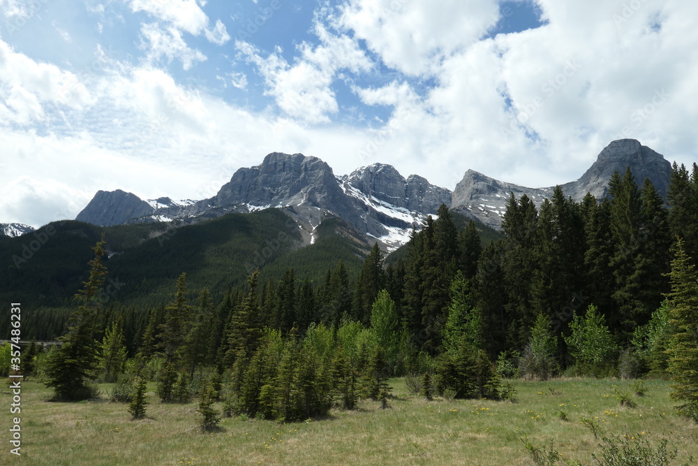 Rocky Mountain Snowcaps and Grassland Meadows in Springtime