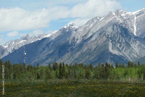 Rocky Mountains and Grasslands with Evergreen Forest in Spring © Cindy