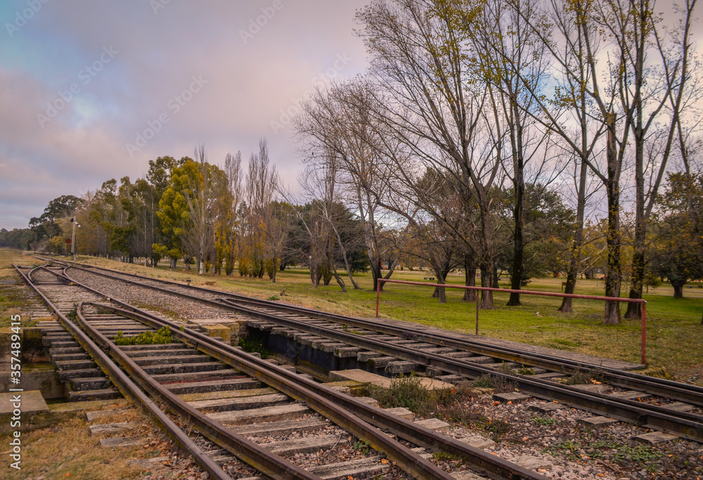 Fototapeta premium estación y vías del tren rodeada de arboles y arroyo