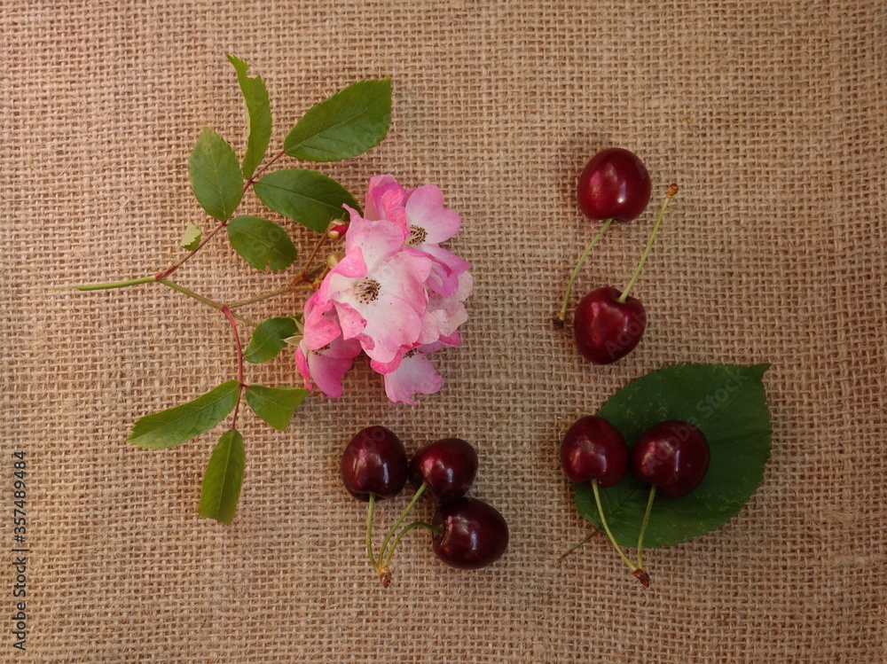 Red cherries and pink roses on burlap fabric Red cherries and pink roses on burlap fabric