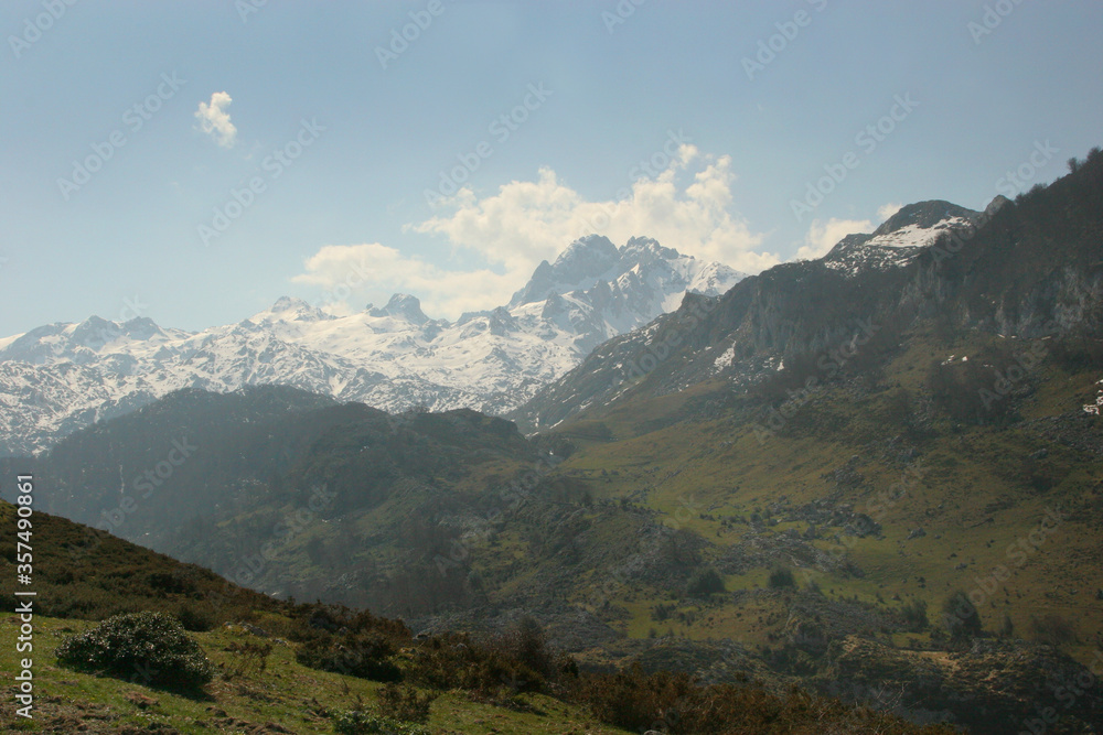Fototapeta premium Primavera en el Parque Nacional de los Picos de Europa