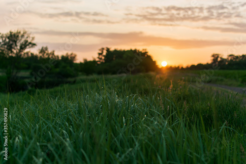 Sunset sunrise over field or meadow. Bright dramatic sky and dark ground. Countryside landscape under scenic colorful sky at sunset dawn sunrise.