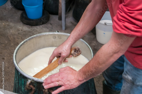 The making of tuma and ricotta cheese