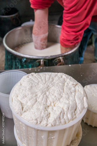 The making of tuma cheese: farmer filling containers with just made tuma cheese