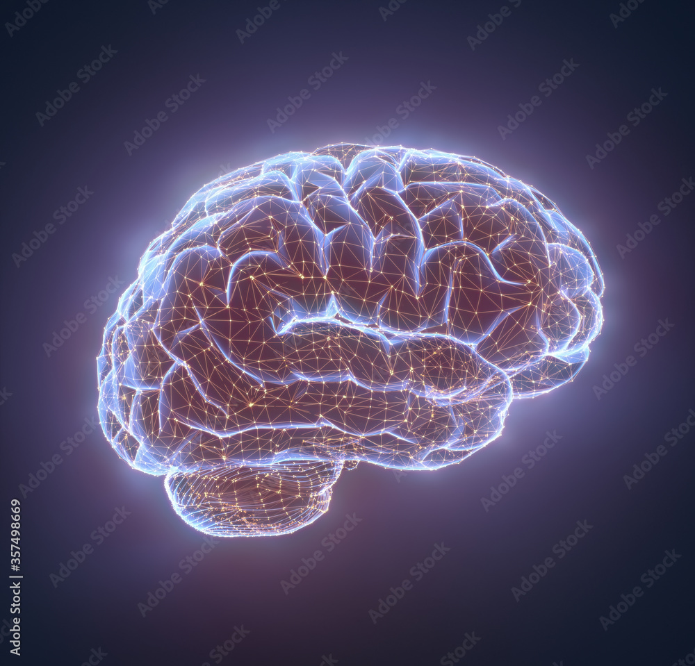 Human brain in a structure of polygonal connections representing the power of the mind. Clipping path included. Human brain in a structure of polygonal connections representing the power of the mind. Clipping path included.
