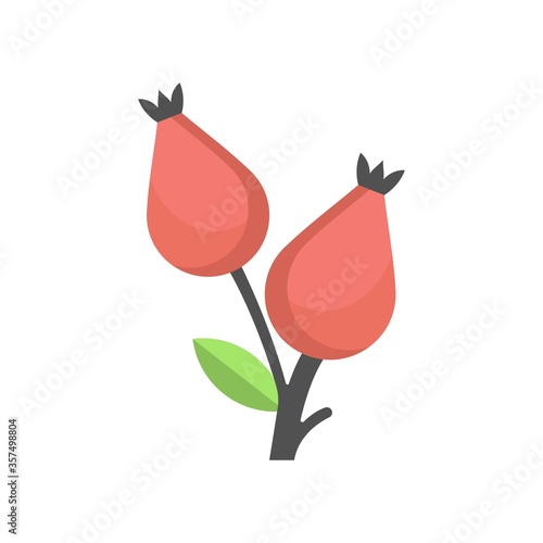 Rose hip berries icon in flat design style.