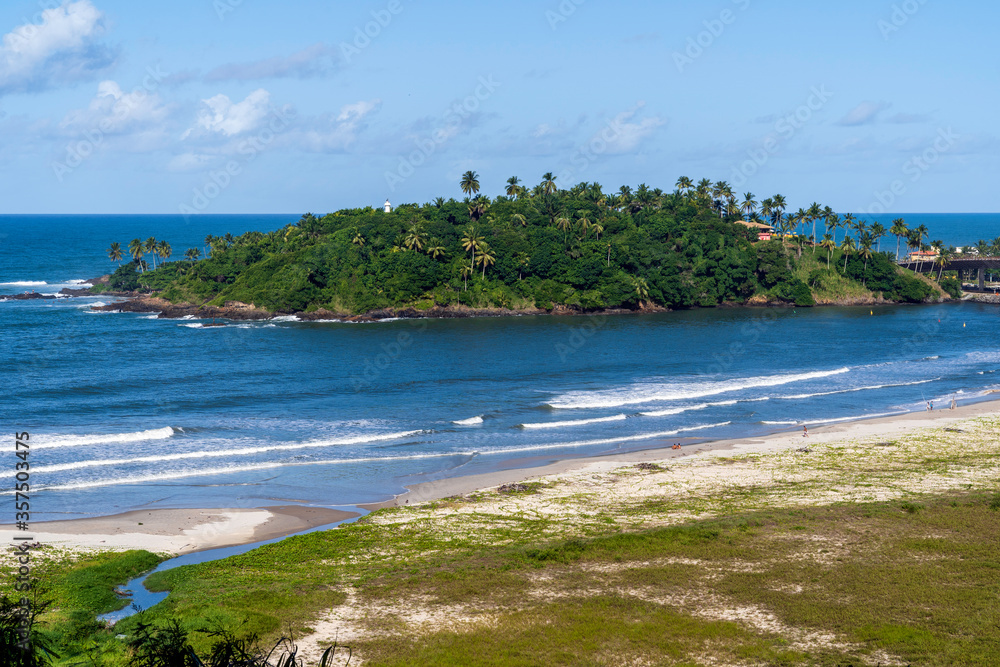 Obraz premium Brazil. Ilheus. Beach. Cristo beach is one of the many beaches in Ilheus. Here you can see the exotic coconut palm trees and vegetation typical of the Atlantic forest.