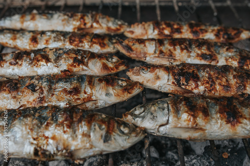 Grilled sardines