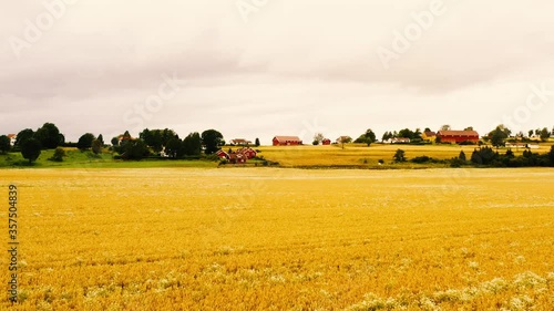 Aerial drone view of the combine harvester in Norway wheat fields. Aerial view of wheat fields on the Norwegian plains.