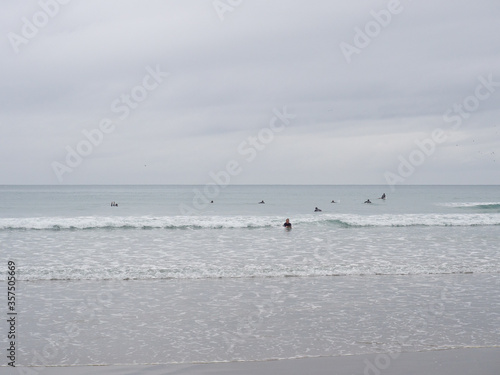 Surfers In The Water Waiting For A Wave